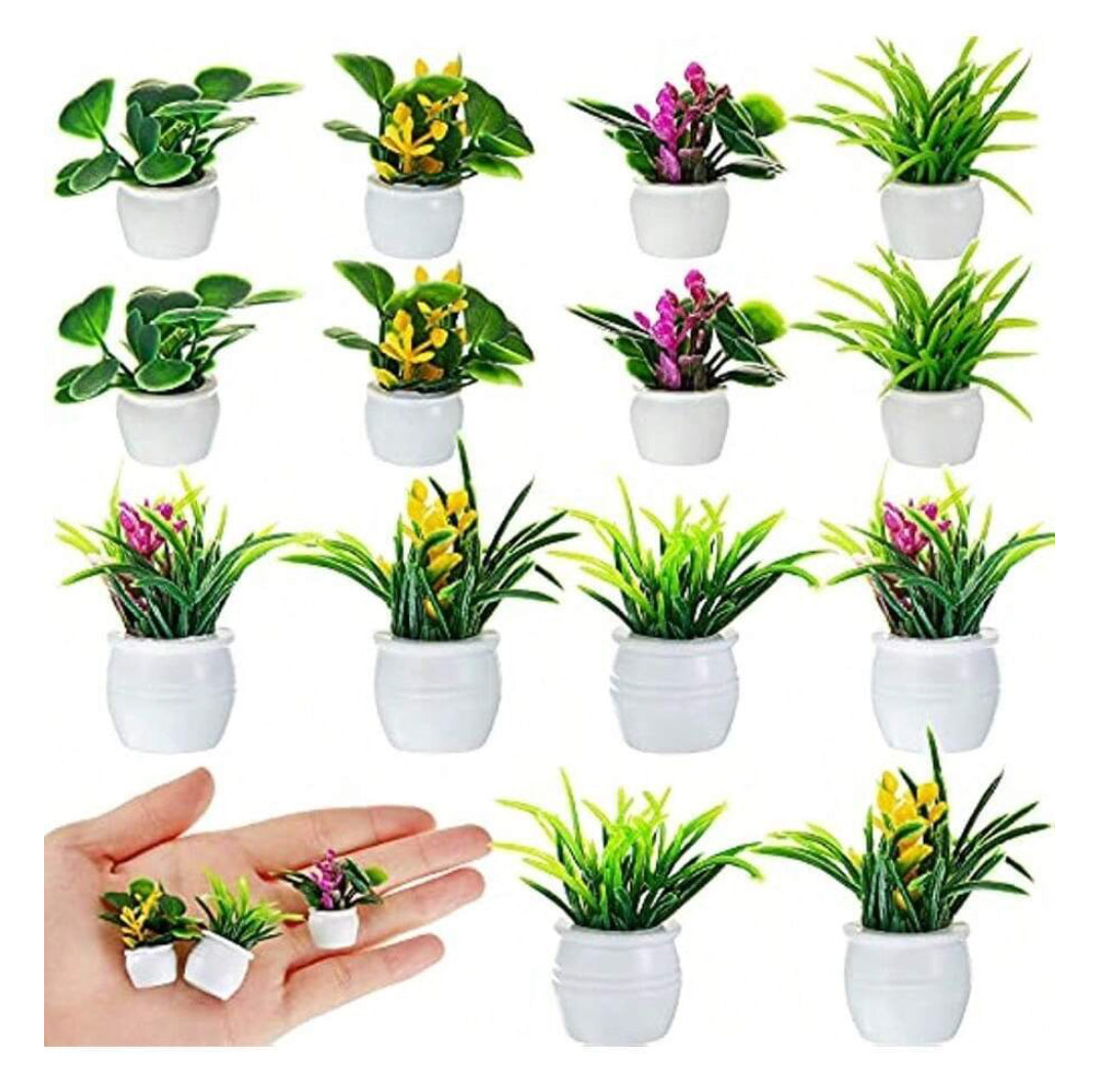 Dollhouse Plant