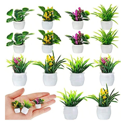 Dollhouse Plant