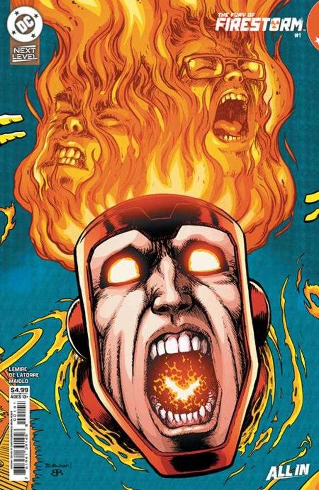 Comics - Fury Of Firestorm 1 (Of 6) Cover C Chris Burnham Card Stock Variant - Fan-Tastic Cards & Comics - DC Comics
