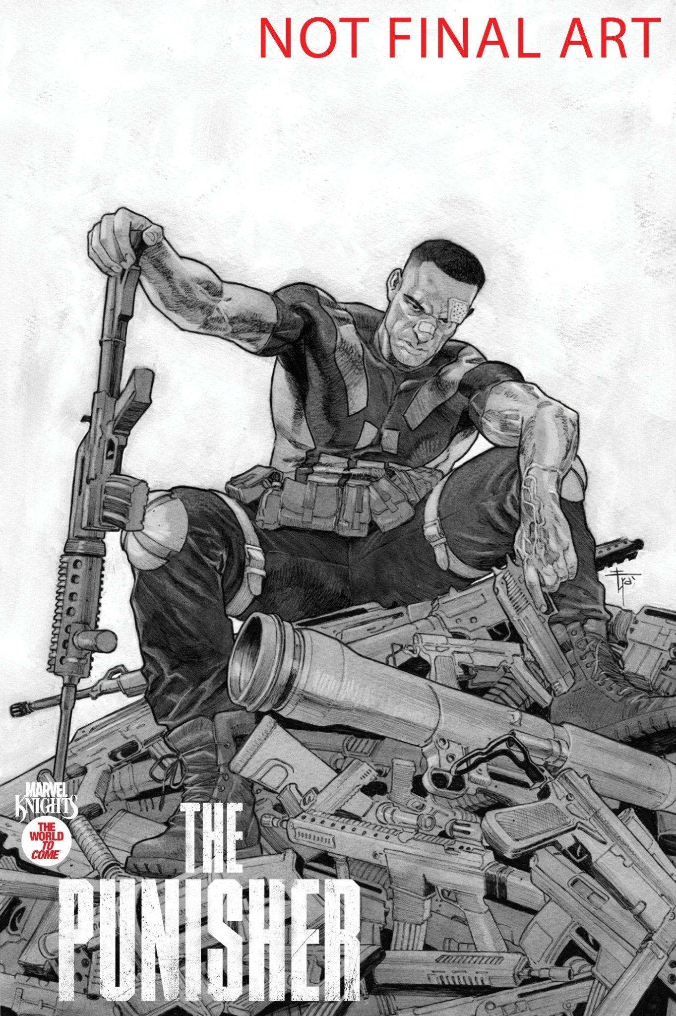 Comics - Marvel Knights: Punisher 2 Francesco Mobili Variant - Fan - Tastic Cards & Comics - Marvel Comics