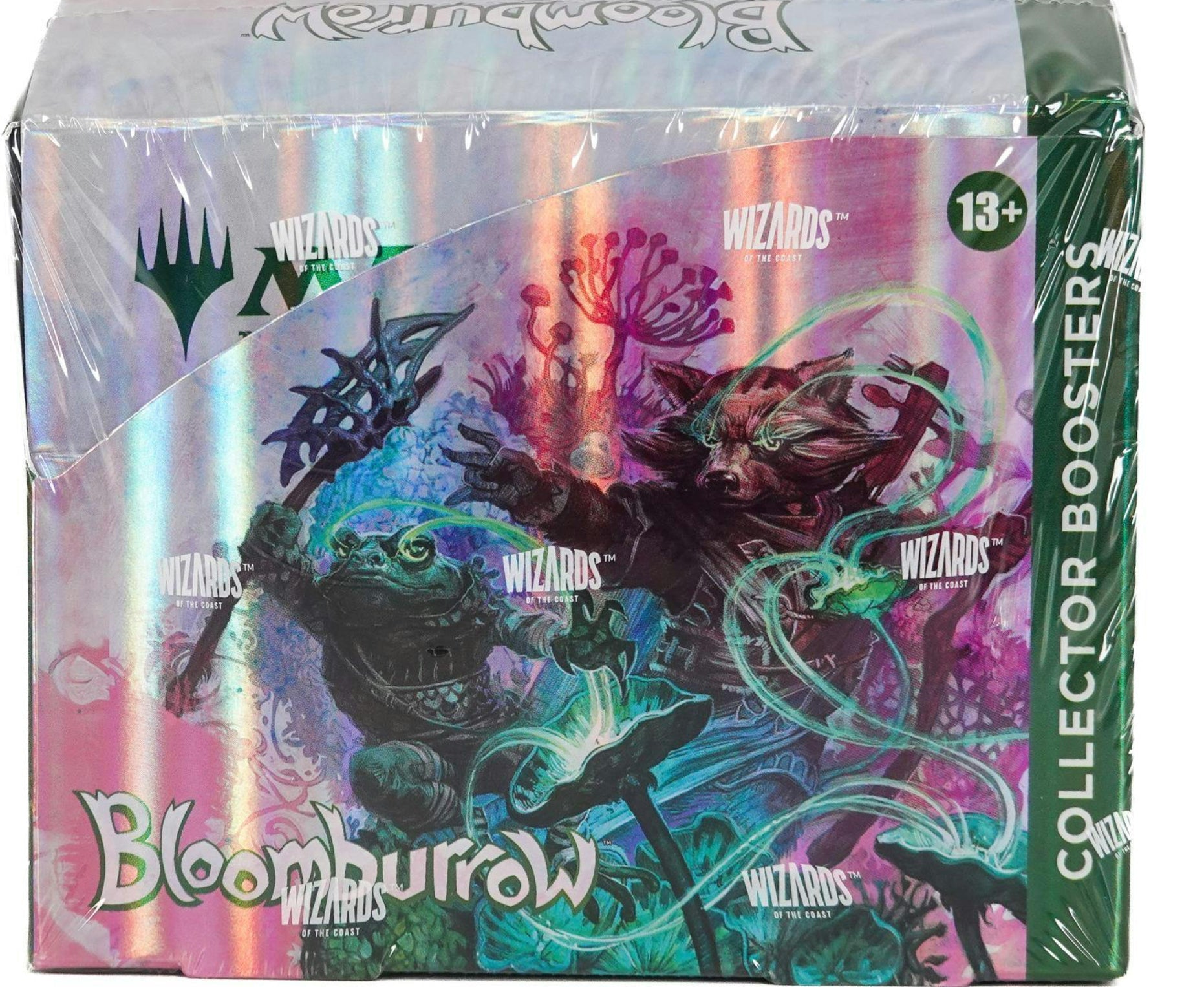 Gaming Cards - MtG Bloomburrow - Fan - Tastic Cards & Comics - Wizards of the Coast