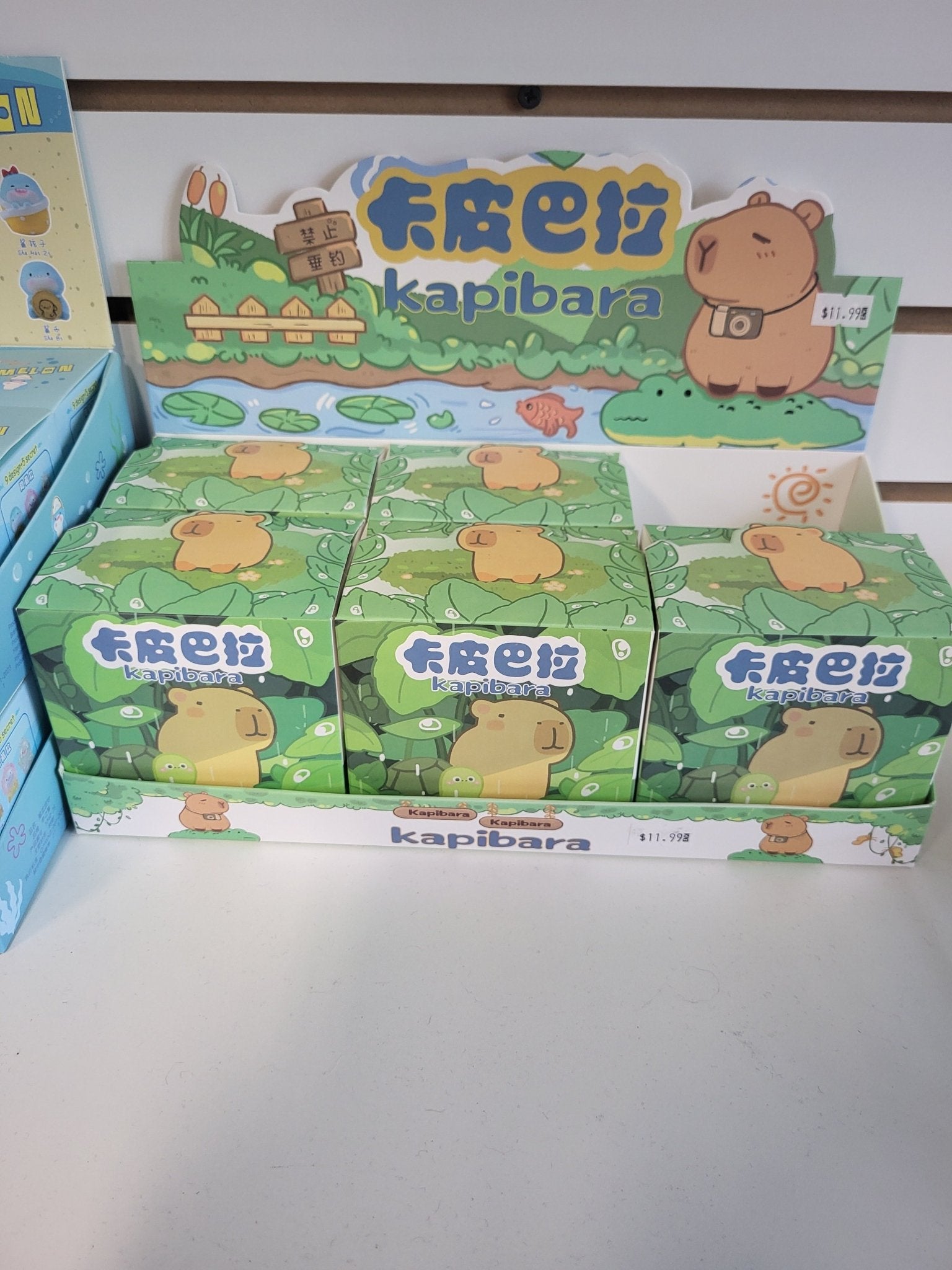 Toys and Models - Kapibara Blind Box - Fan - Tastic Cards & Comics - OTHER PUBLISHERS