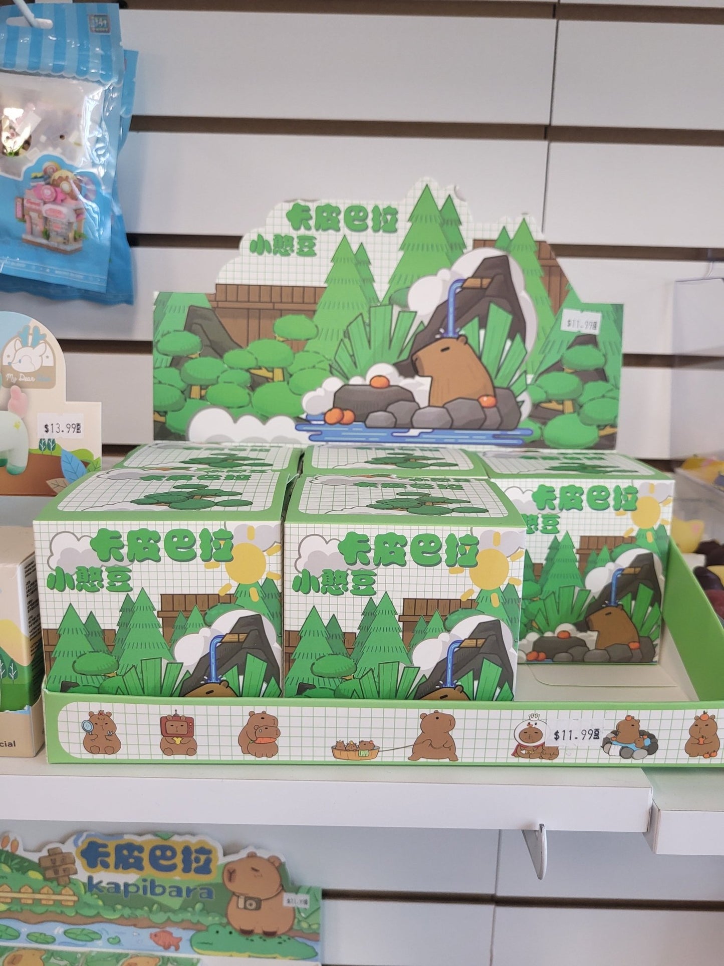 Toys and Models - Kapibara Blind Box - Fan - Tastic Cards & Comics - OTHER PUBLISHERS